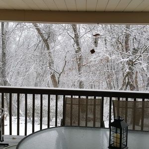 Meet your Posher, Eileen